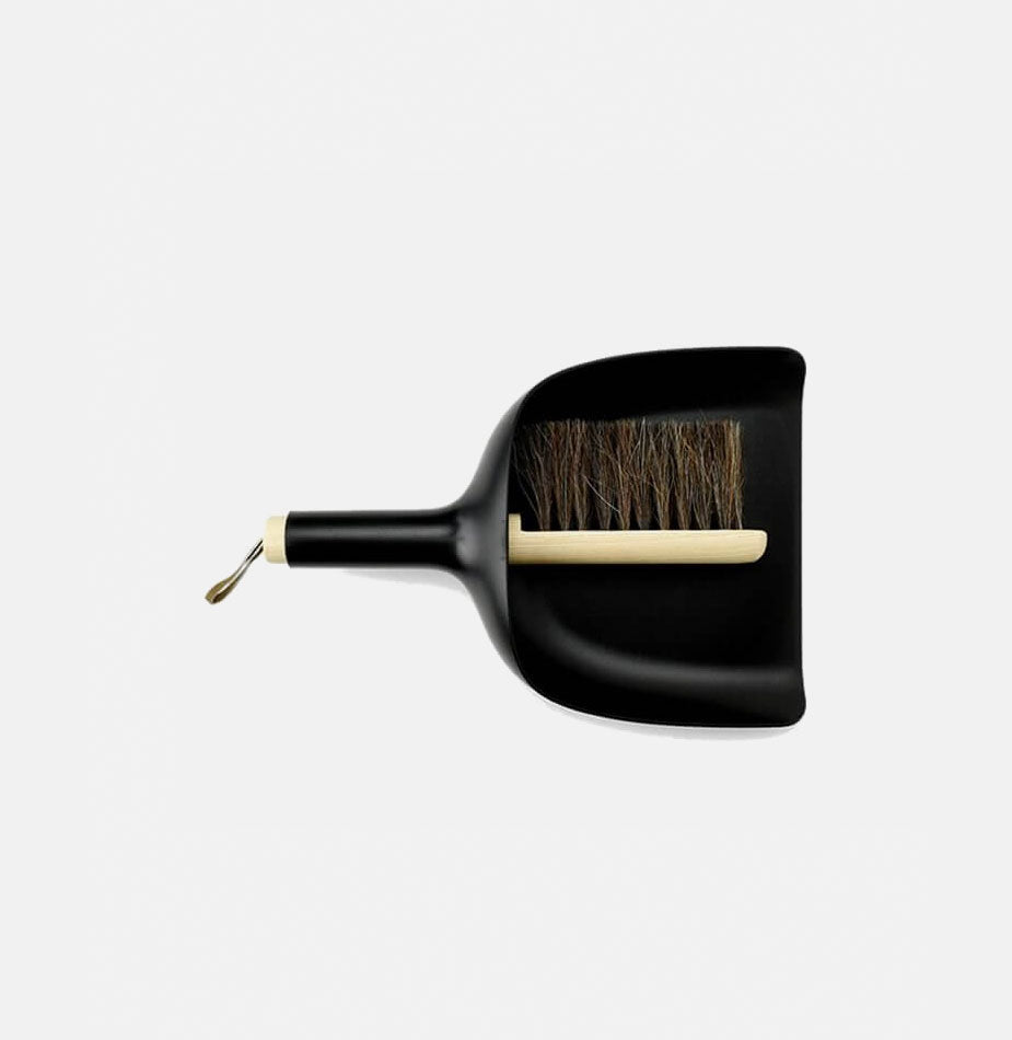 Cleaning Dustpan & Brush